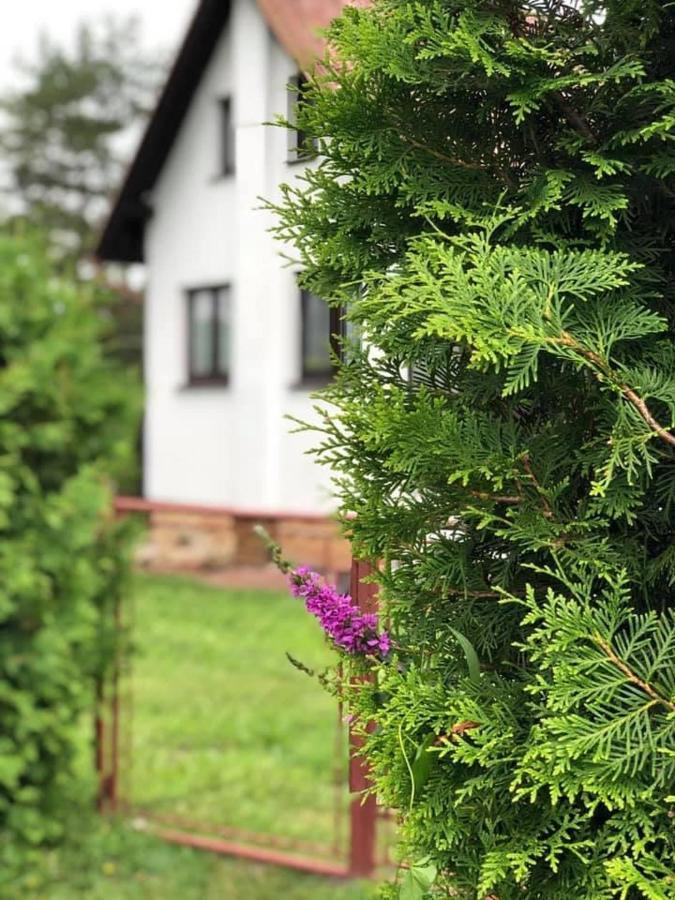 Chata u Smolíků Borovany  Exterior foto