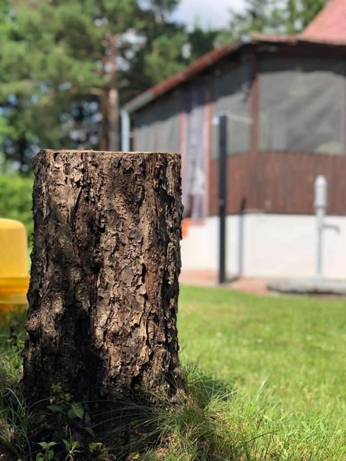 Chata u Smolíků Borovany  Exterior foto